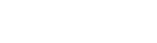 Grill Brush 3000
