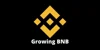 Growing BNB