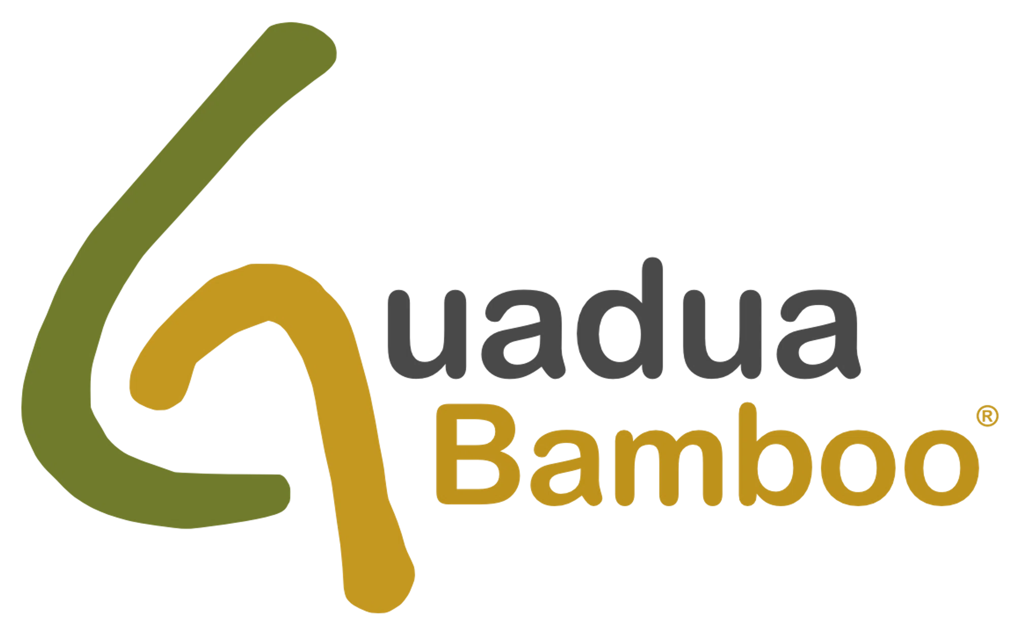 Guadua Bamboo