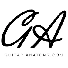 Guitar Anatomy 