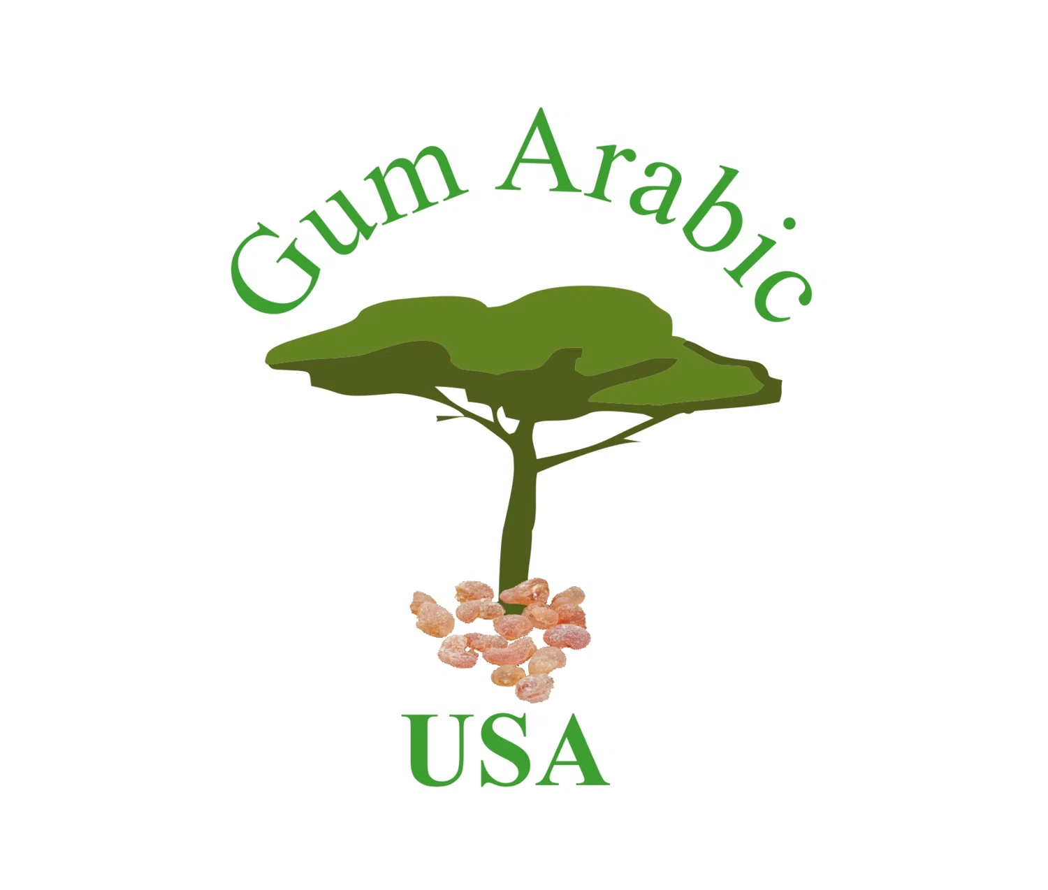 Gum Arabic USA