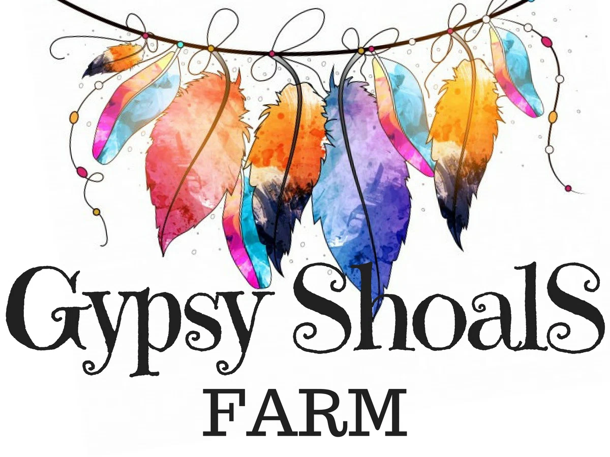 Gypsy Shoals Farm