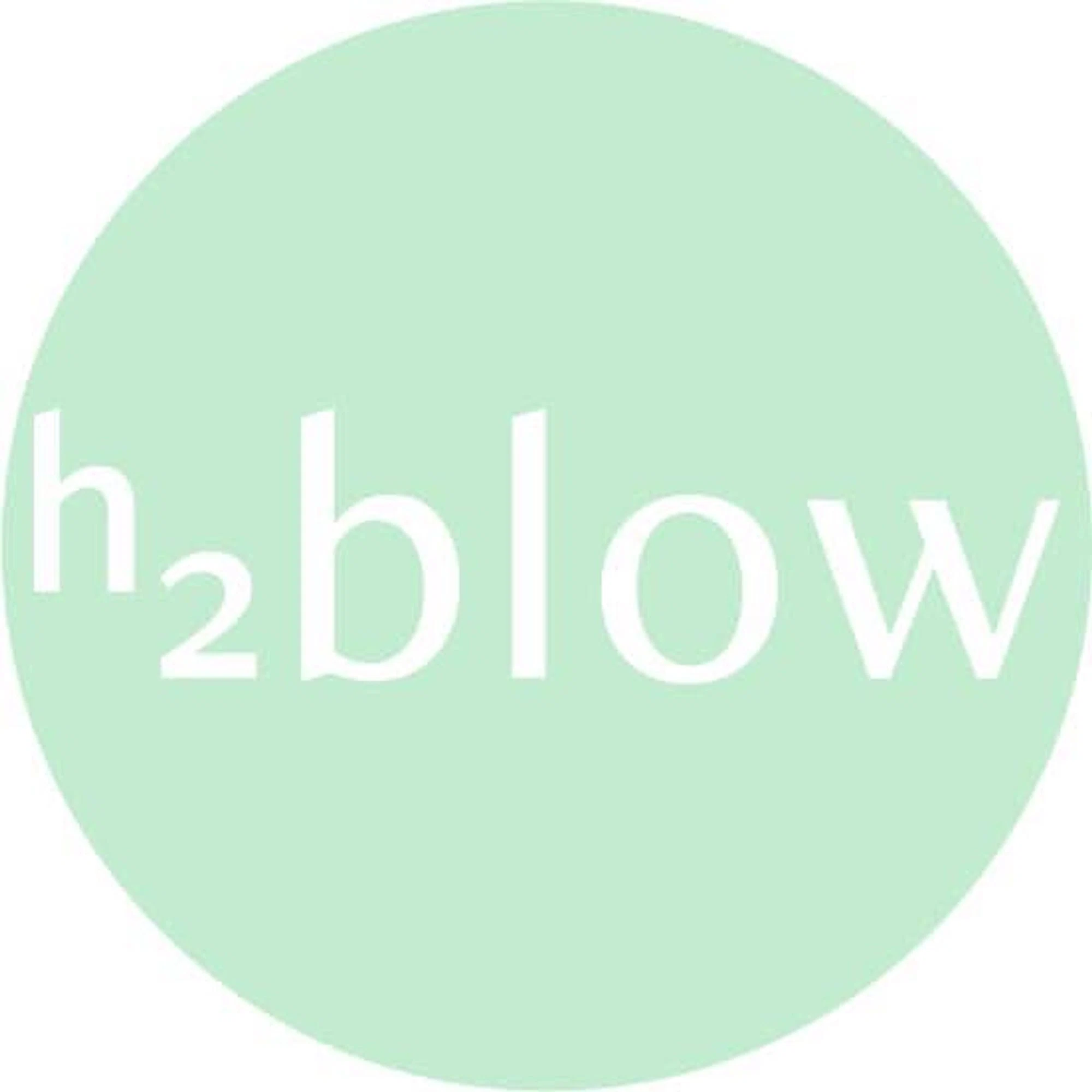 h2blow is a blowout + beauty bar