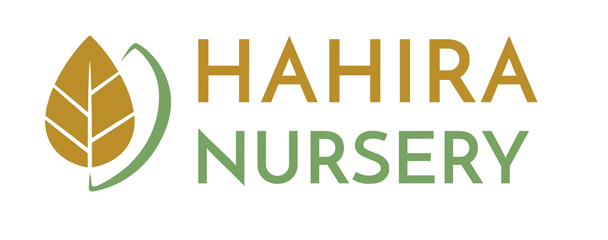 Hahira Nursery