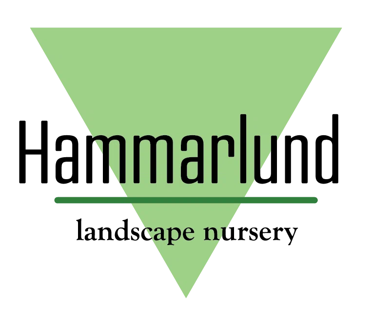 Hammarlund Nursery