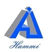 Hammi Computer Service