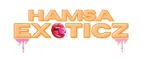Hamsa Exoticz