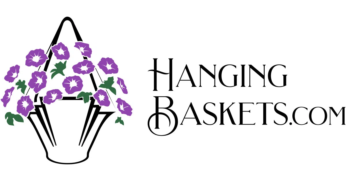 Hanging Baskets