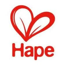 Hape Toys