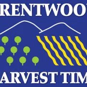 Harvest Time in Brentwood