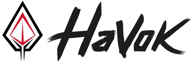 Havok Solutions