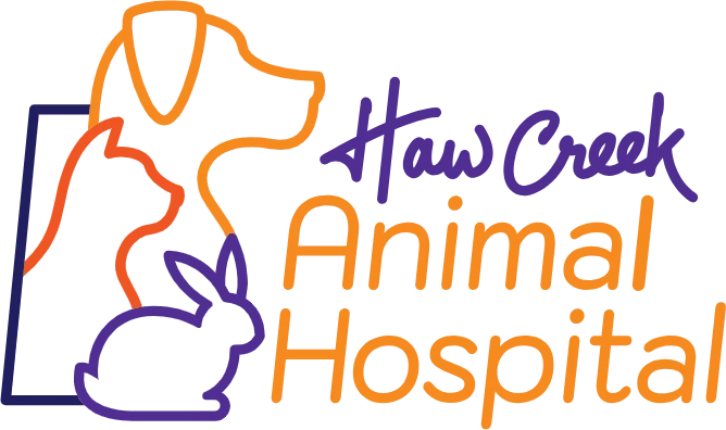 Haw Creek Animal Hospital