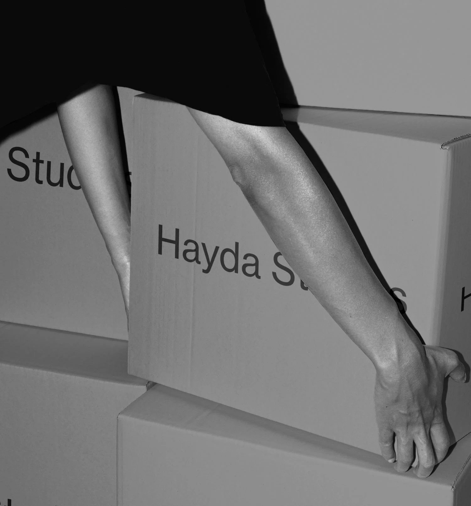 Hayda Studios