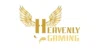 Heavenly Gaming