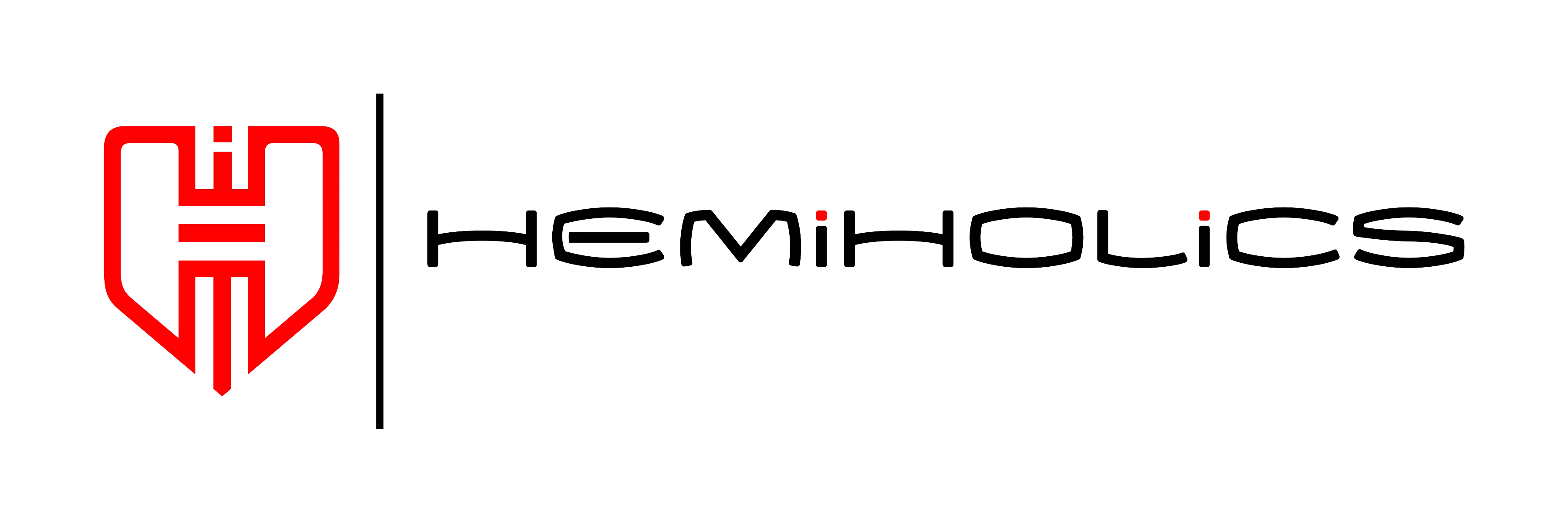 Hemiholics