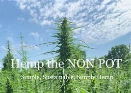Hemp the NON POT Promo Codes