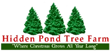 Hidden Pond Tree Farm