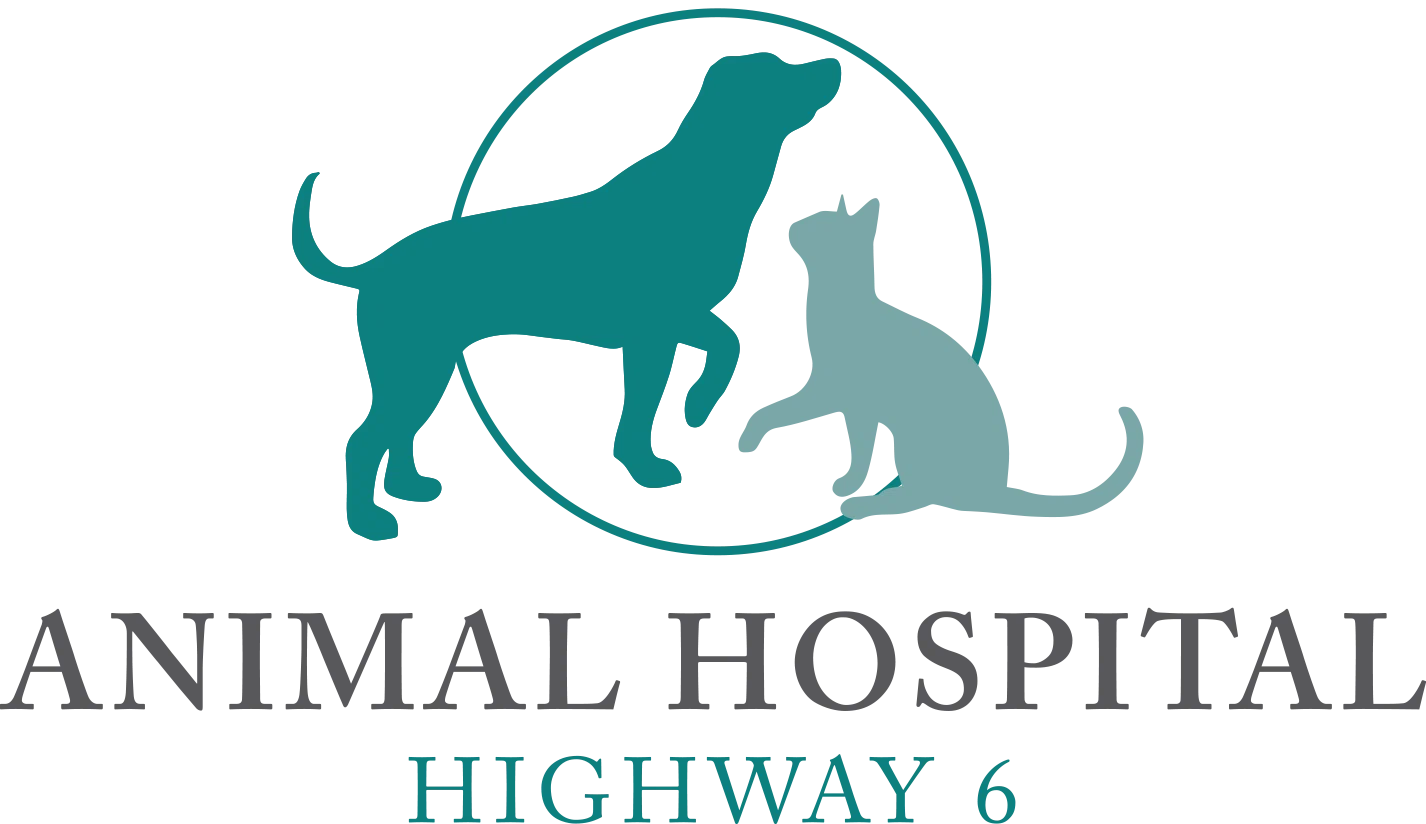 Animal Hospital Highway 6