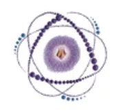 Holistic Essential Sparkle Logo for Special Discounts