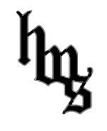 Holster When Safe Logo for Promo Codes