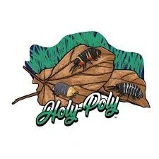 Holy-Poly Isopods