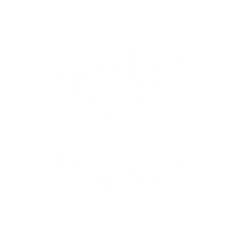 Holy Sinner