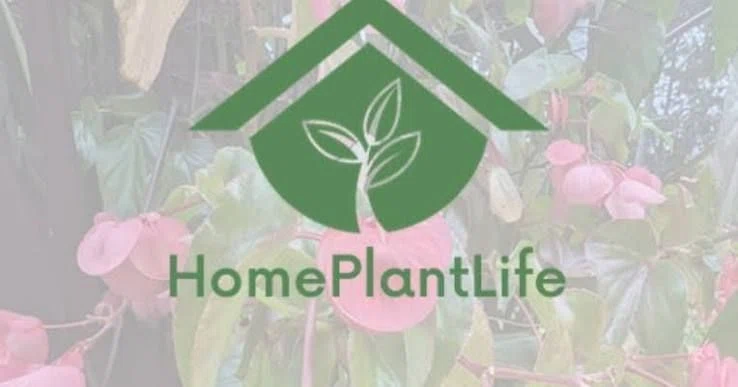 Home Plant Life