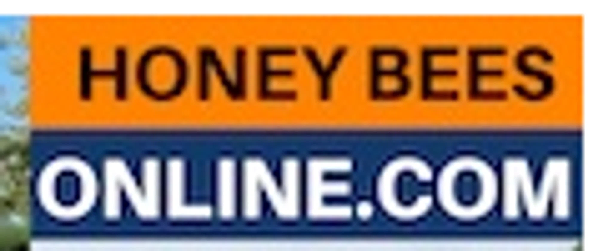 Honeybeesonline.com