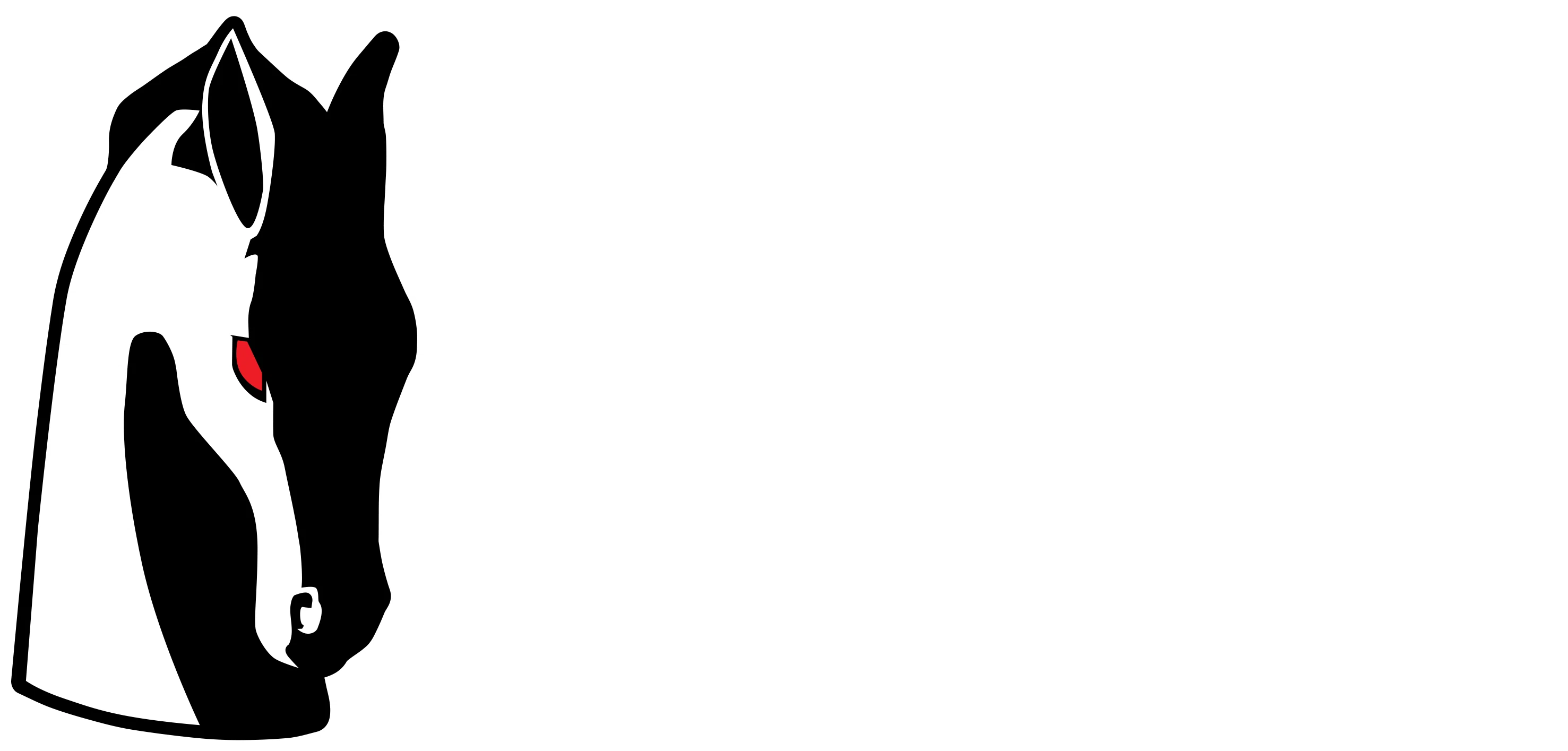 Horsehead Toys