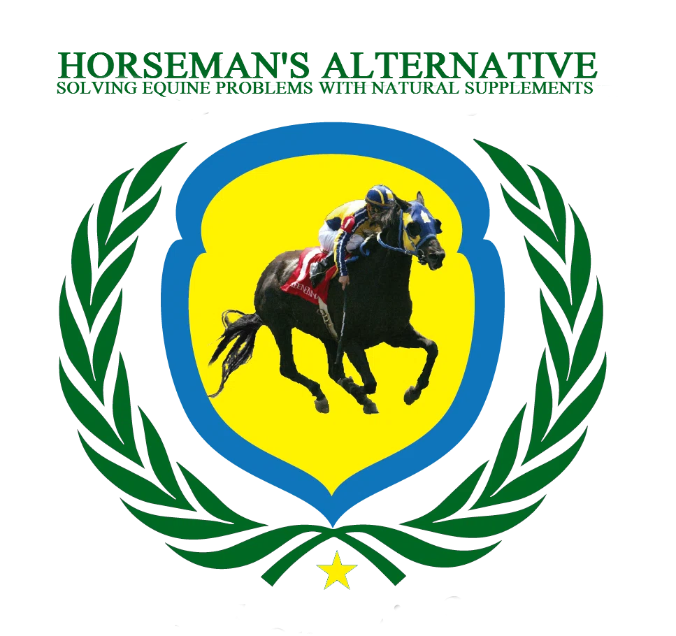 Horseman’s Alternative