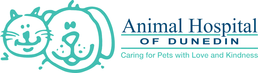 Animal Hospital of Dunedin