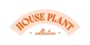 Houseplant Collection