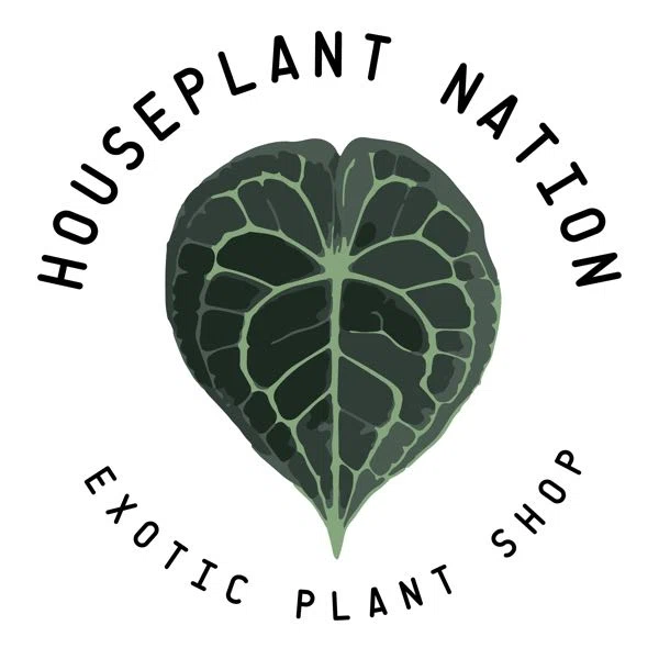 Houseplant Nation