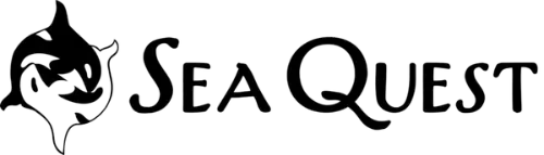 Sea Quest Kayak Tour