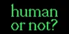 Human or Not