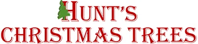 Hunt's Christmas Trees