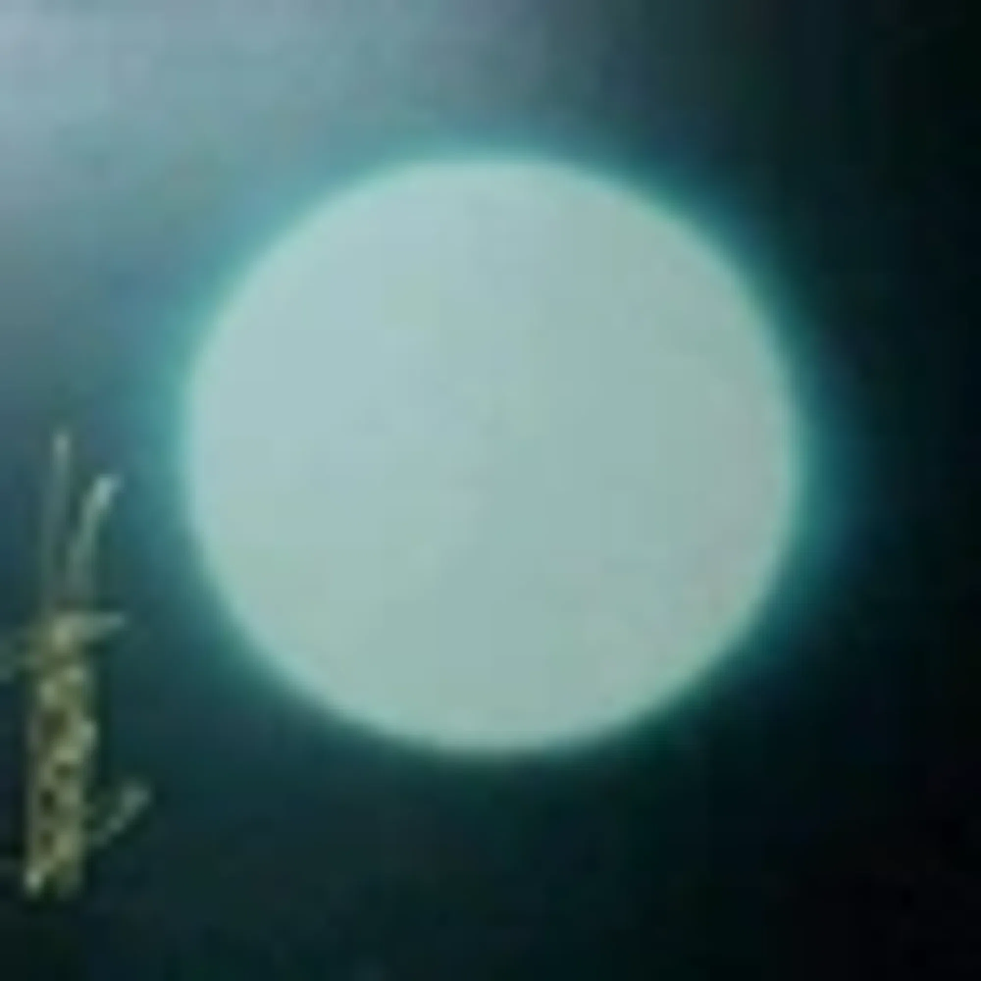 Huo Energy Medicine & Acupuncture