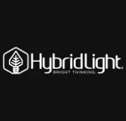 Hybrid Light