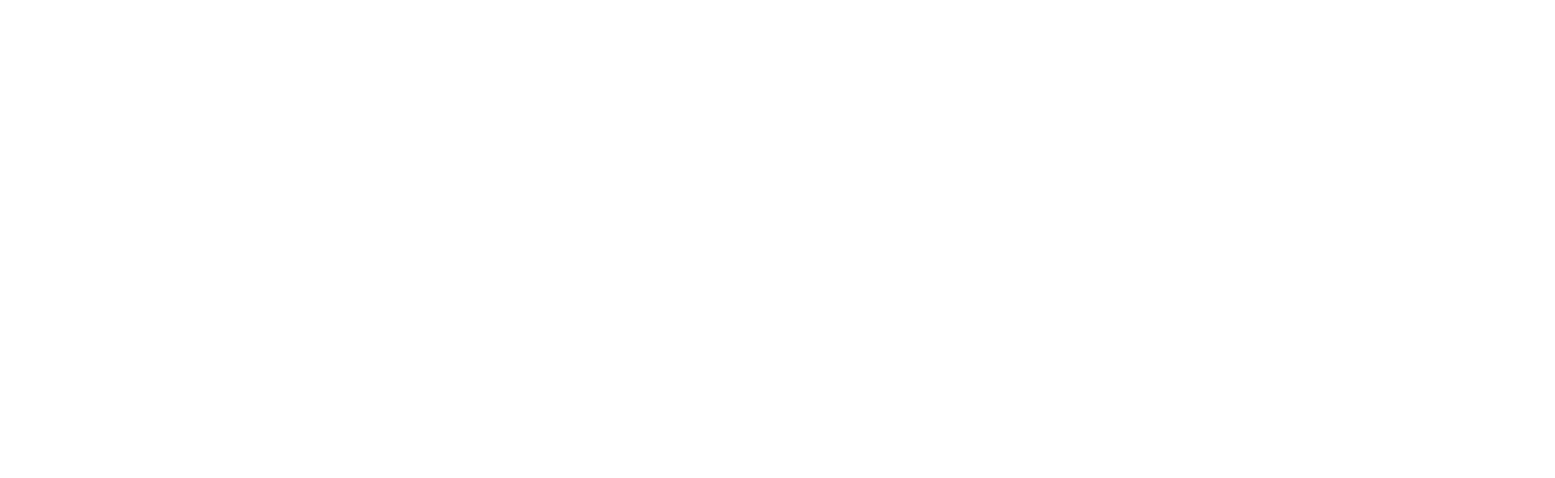 Iconic Apparel