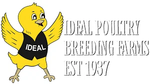 Ideal Poultry