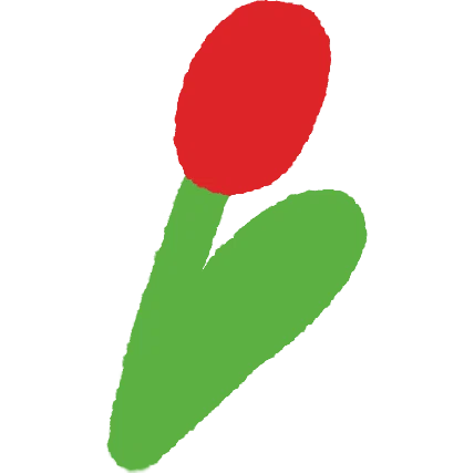 IEJ Studio