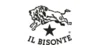 Il Bisonte