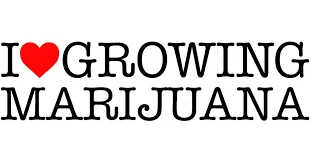 I Love Growing Marijuana