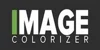 Image Colorizer