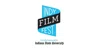 Indianapolis International Film Festival
