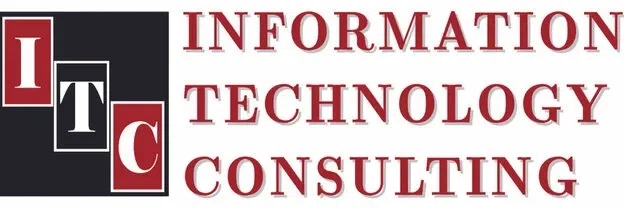 Information Technology Consulting