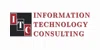 Information Technology Consulting