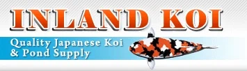 Inland Koi