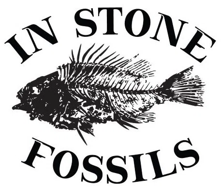 In Stone Fossils