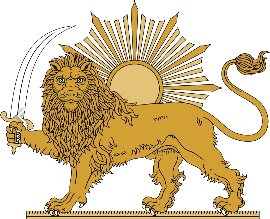 International Rugs Logo for Discount Codes